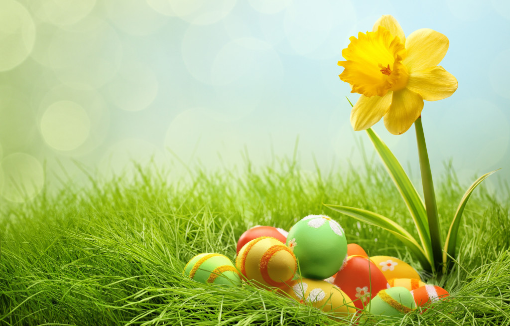 Holidays-Easter-Eggs-and-yellow-flower_